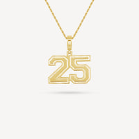 Gold Presidents Pendant and Chain - #25 Wayne Knight