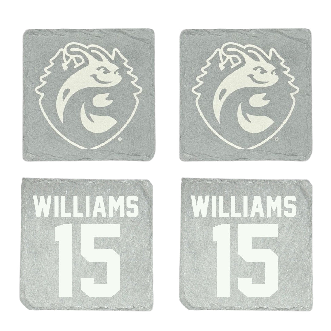 University of California-Santa Cruz Volleyball Stone Coaster (4 Pack)  - #15 Ryan Williams