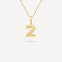 Gold Presidents Pendant and Chain - #2 McGwire Turner