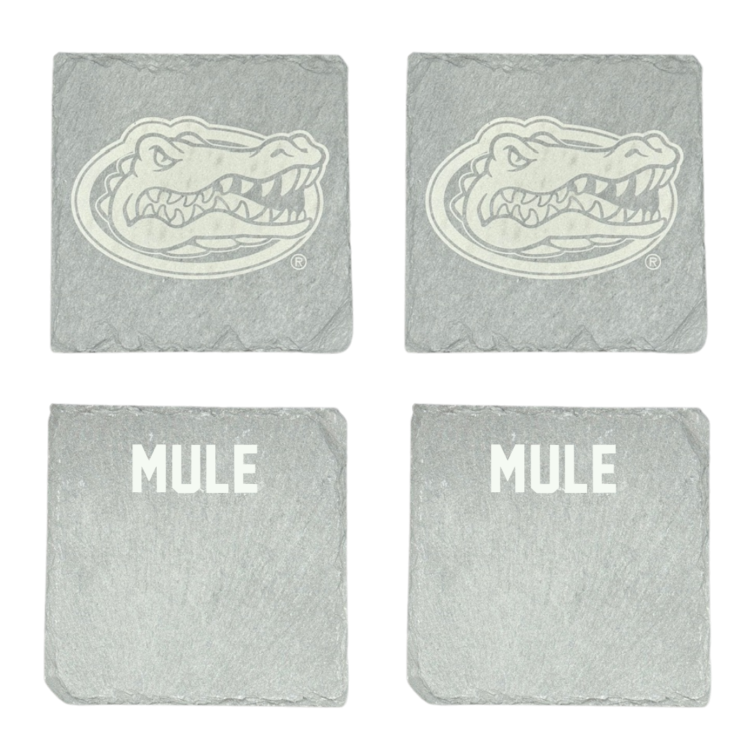 University of Florida TF and XC Stone Coaster (4 Pack)  - Matt Mule