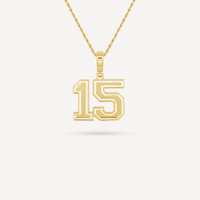 Gold Presidents Pendant and Chain - #15 Luke Smith