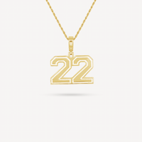 Gold Presidents Pendant and Chain - #22 Ashley Cunningham
